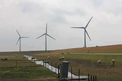 Wind turbines on field against sky