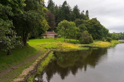 Scenic view of lake by trees against sky