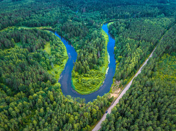High angle view of road amidst trees in forest