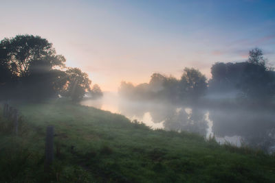 Trees on field against sky during sunset