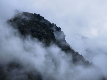 Very moody landscape shot of a hill covered with fog and most. 