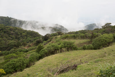 Scenic view of landscape