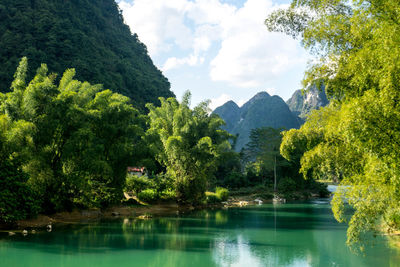 Scenic view of lake by trees against sky