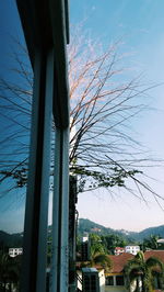 Houses by trees against sky