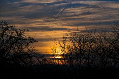 Silhouette of bare tree against cloudy sky