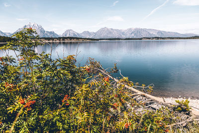 Scenic view of lake against sky