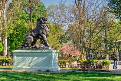 Statue of dog by plants against trees