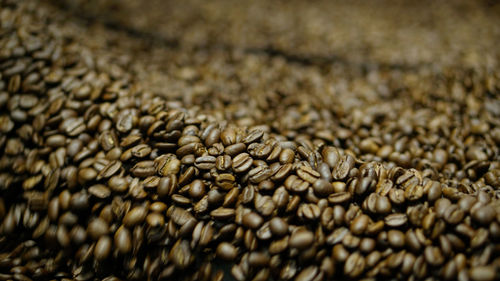 Full frame shot of roasted coffee beans