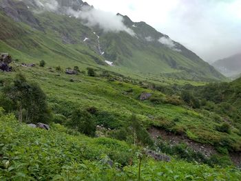 Scenic view of green landscape and mountains