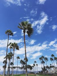 Low angle view of palm trees against cloudy sky