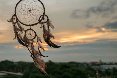 Close-up of feather against sky at sunset