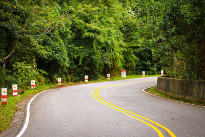 Road amidst trees