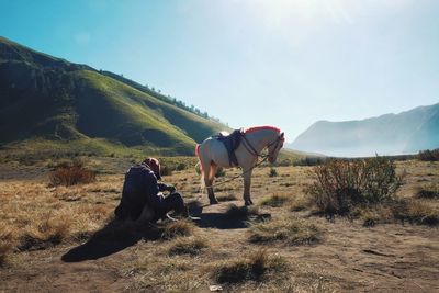 Summer in the mountains of bromo
