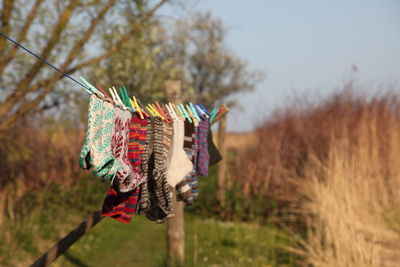 Close-up of socks hanging on clothesline
