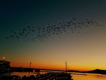 Flock of birds flying against sky during sunset