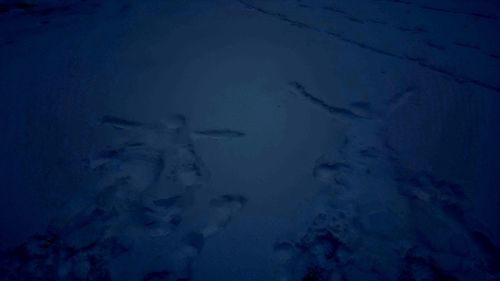 High angle view of footprints on snow covered land