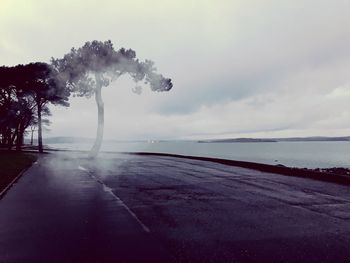 Scenic view of road by trees against sky