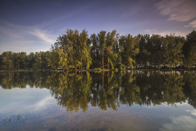 Scenic view of lake by trees against sky