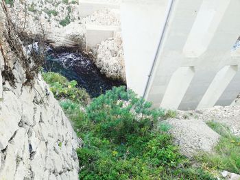 High angle view of plants by building