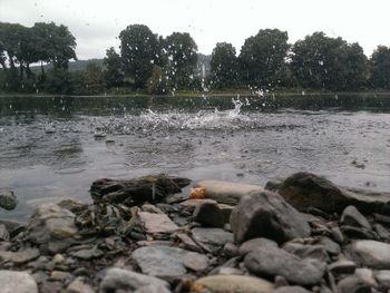 Rocks in water