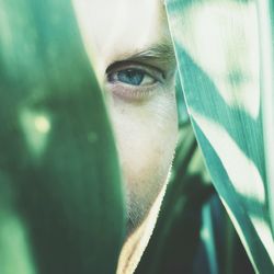 Close-up portrait of mid adult man looking through leaves