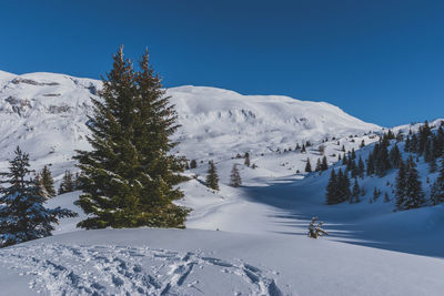 A picturesque landscape view of the snowcapped french alps mountains with a hiking path in the snow