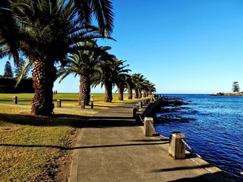 Scenic view of calm sea against clear sky