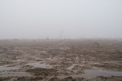 Scenic view of field against sky during winter
