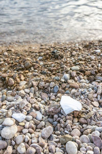 Lost face mask on the beach