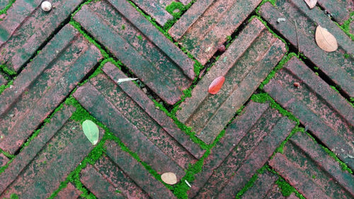 High angle view of text on wood