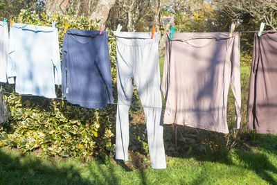 Clothes drying on clothesline