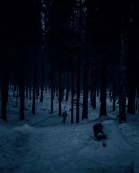 Silhouette trees on snow covered land at night