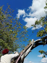 Low angle view of tree against blue sky