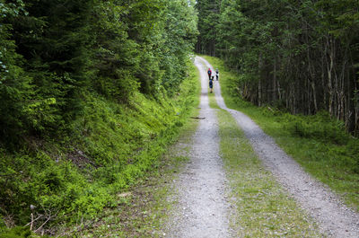 Footpath in park