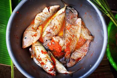 High angle view of seafood