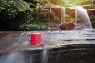 Water splashing on red rock against trees