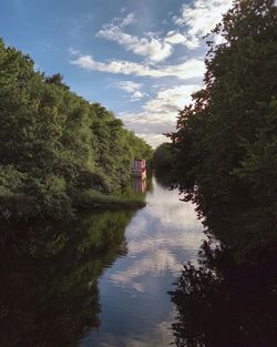 Scenic view of river amidst trees against sky