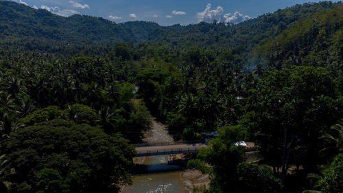 Scenic view of forest against sky