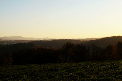 Scenic view of field against clear sky