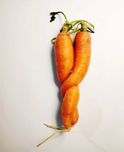 carrot