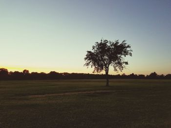 Scenic view of landscape at sunset