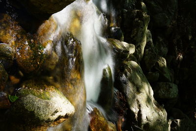 Close-up of waterfall in forest