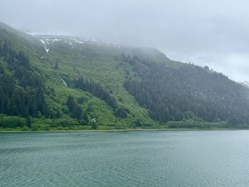 scenics - nature