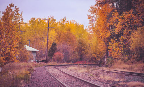 Railroad tracks amidst trees during autumn