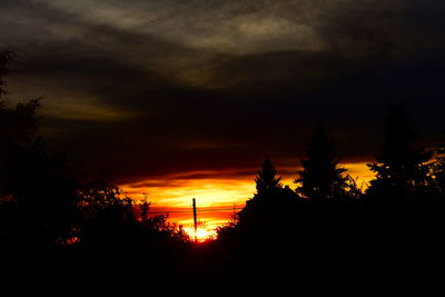 Silhouette trees against dramatic sky during sunset