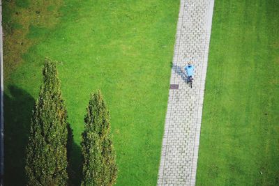 High angle view of people on grassy field