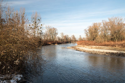 Scenic view of river amidst trees against sky