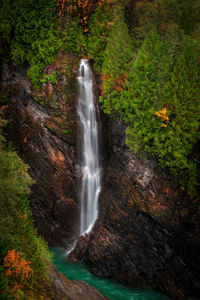 Scenic view of waterfall in forest