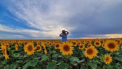 Rear view of person on sunflower field against sky