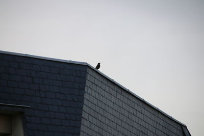 Low angle view of bird perching on building against sky